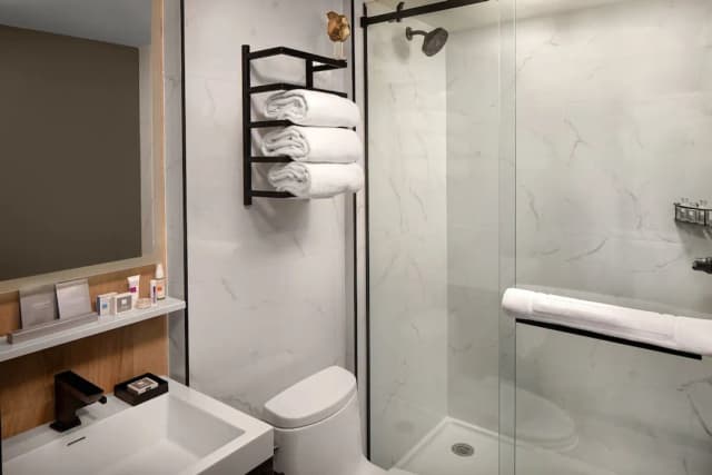Hotel Indigo - NYC Downtown - Wall Street, an IHG Hotel-標準客房, 1 張加大雙人床-5