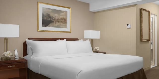 曼哈頓時代廣場酒店-標準客房, 1 張特大雙人床, 無障礙浴缸 (Mobility)-4