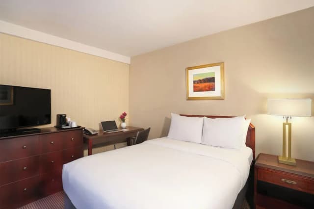 더 맨해튼 앳 타임스 스퀘어 호텔, IHG 호텔-스탠다드룸, 킹사이즈침대 1개, 롤인 샤워 시설 (Mobility)-6