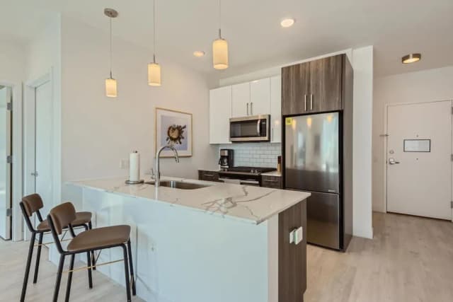 密西根大道 Sentral 飯店-公寓, 2 間臥室-1