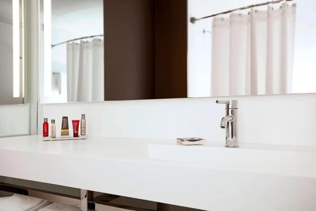 紐約布魯克林橋萬豪酒店-客房, 1 張特大雙人床 (Mobility Accessible, Tub)-4