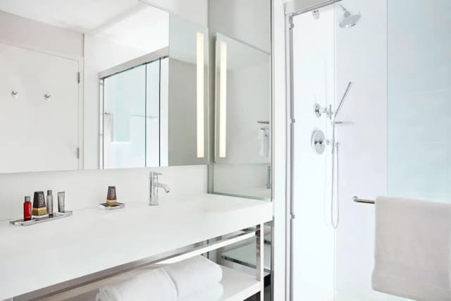 紐約布魯克林橋萬豪酒店-客房, 1 張特大雙人床 (Mobility Accessible, Roll-In Shower)-4