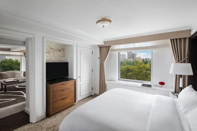 The Ritz-Carlton New York, Central Park-Club Suite, 1 King Bed with Sofa bed, Park View-4