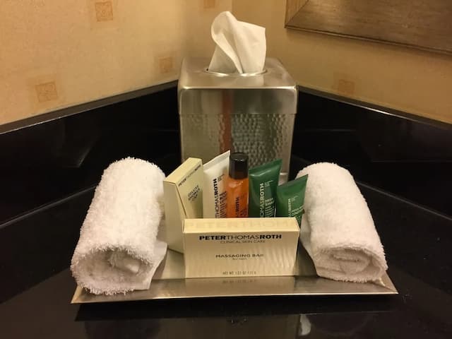 힐튼 시카고 오헤어 에어포트-룸, 더블침대 2개-2