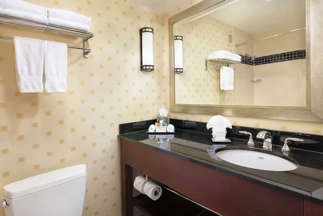 힐튼 시카고 오헤어 에어포트-룸, 킹사이즈침대 1개 (Runway View)-6