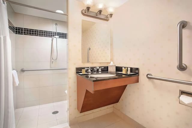 힐튼 시카고 오헤어 에어포트-룸, 킹사이즈침대 1개, 장애인 지원, 친알러지-6