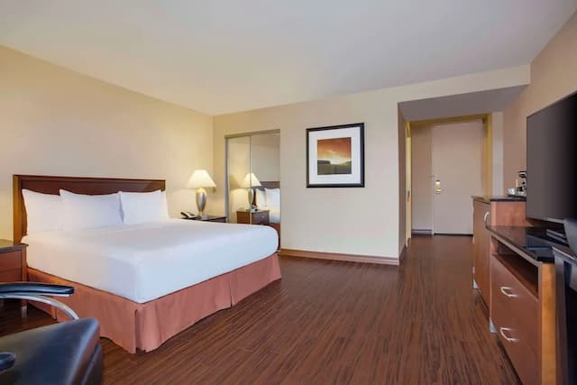 힐튼 시카고 오헤어 에어포트-룸, 킹사이즈침대 1개, 친알러지-3