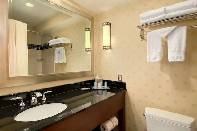 힐튼 시카고 오헤어 에어포트-룸, 더블침대 2개, 친알러지-5