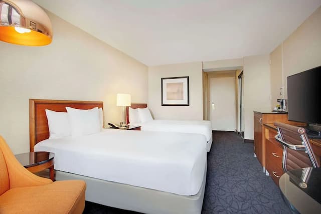 힐튼 시카고 오헤어 에어포트-룸, 더블침대 2개, 친알러지-1