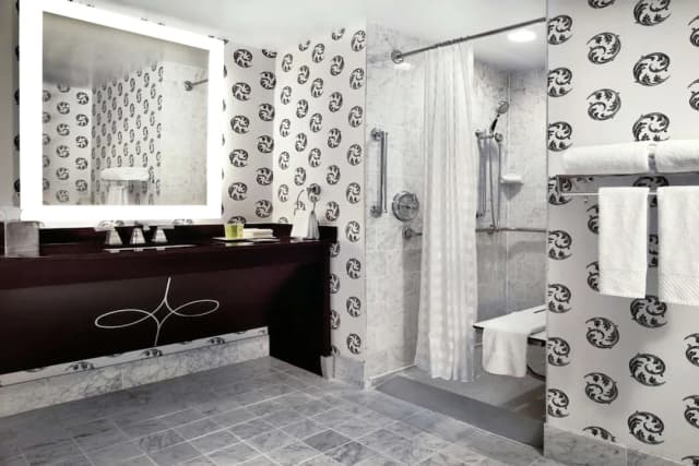 パーマー ハウス ヒルトン ホテル-ルーム バリアフリー 禁煙 (Roll-in Shower)-6