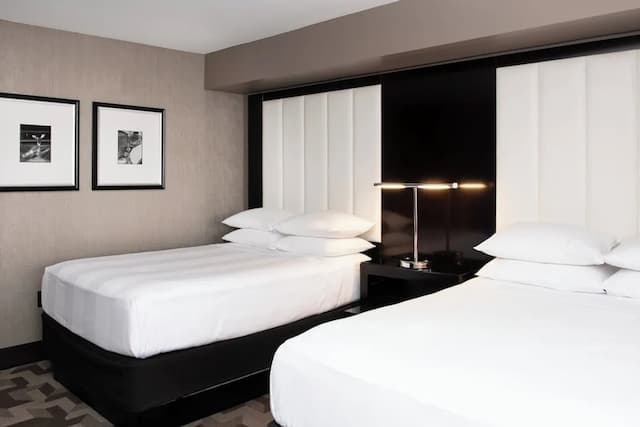 Beverly Hills Marriott-客房, 2 张双人床-8