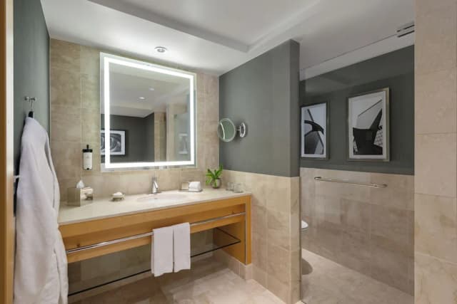 소피텔 시카고 매그니피센트 마일-Signature Suite, 1 Bedroom, 1 King Bed, 1 Sofabed-3