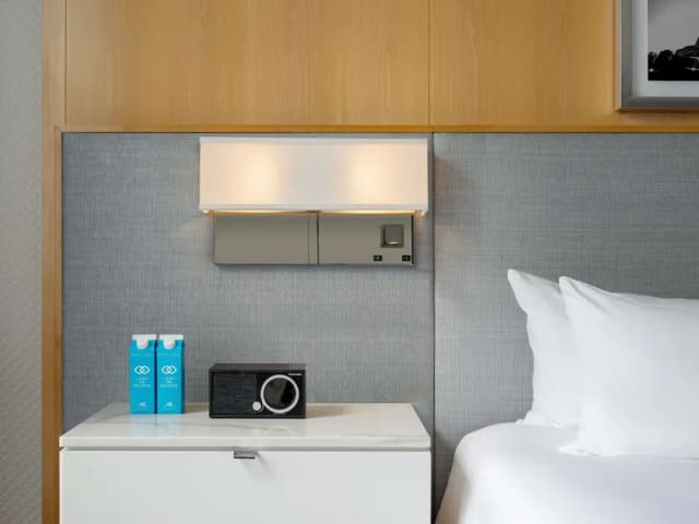 소피텔 시카고 매그니피센트 마일-슈피리어룸, 킹사이즈침대 1개 (Floors 11-21)-4