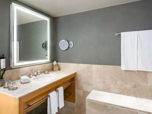 소피텔 시카고 매그니피센트 마일-주니어 스위트, 킹사이즈침대 1개 및 소파베드-3