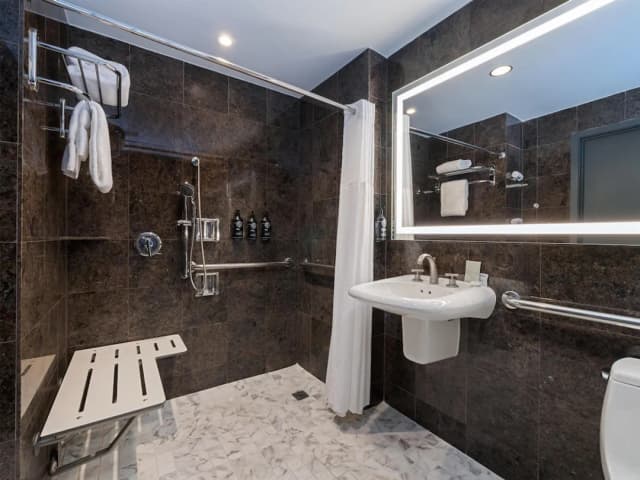 더 샘 휴스턴, 큐리오 컬렉션 바이 힐튼-디럭스룸, 킹사이즈침대 1개, 장애인 지원, 금연-6