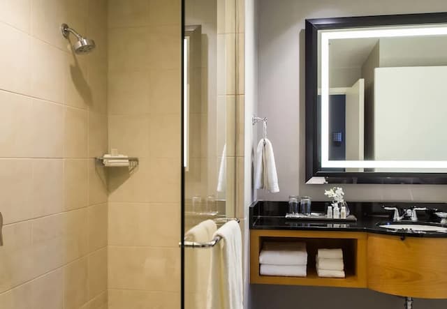 芝加哥奧黑爾萬麗套房飯店-套房, 1 間臥室-4