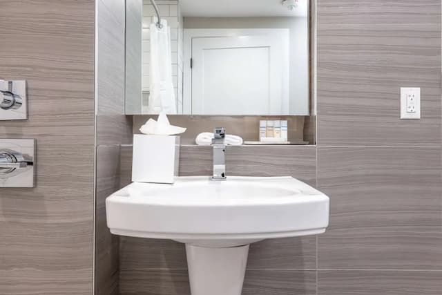 인피니티 호텔 샌프란시스코, 태피스트리 컬렉션 바이 힐튼-룸, 퀸사이즈침대 1개, 장애인 지원, 욕조 (Mobility & Hearing)-4