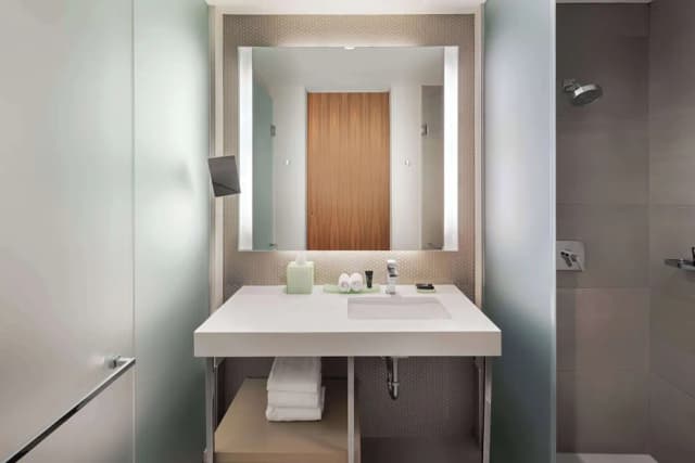 芝加哥洛普區凱悅尚萃酒店-客房, 1 張加大雙人床-4