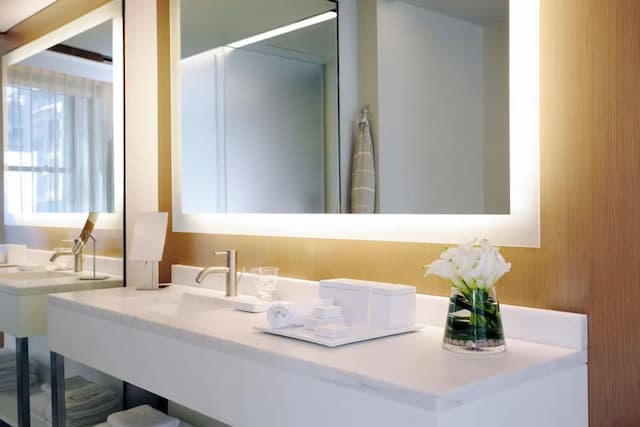 The Knickerbocker Hotel-尊贵客房, 城市景观-5