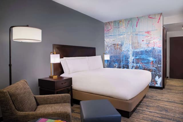 美國休斯頓希爾頓歡朋飯店-客房, 1 張特大雙人床, 公園景觀-2