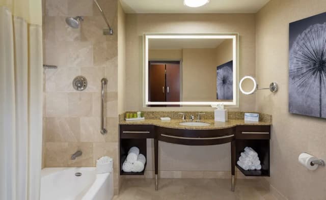 美國休斯頓希爾頓歡朋飯店-客房, 2 張加大雙人床, 公園景觀-3