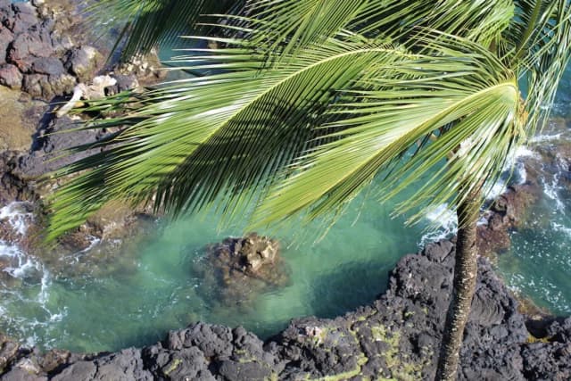 그랜드 나닐로아 호텔  힐로 - 어 더블크리 바이 힐튼-룸, 킹사이즈침대 1개, 장애인 지원 (Mobility & Hearing, 3x3 Shower)-4