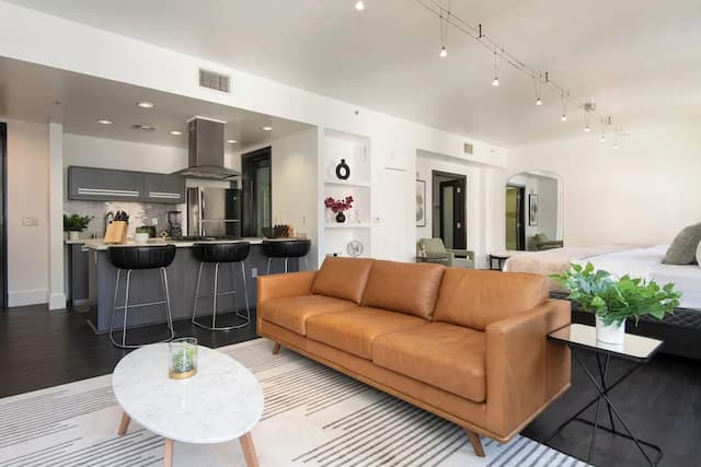 The Audemar-豪華開放式客房-1