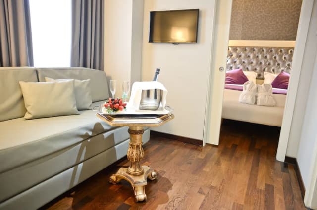 特里魯薩宮養生 Spa 飯店-普通套房-1