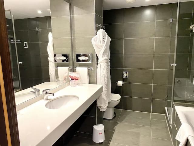 Hotel Concordia-华丽双人房-6