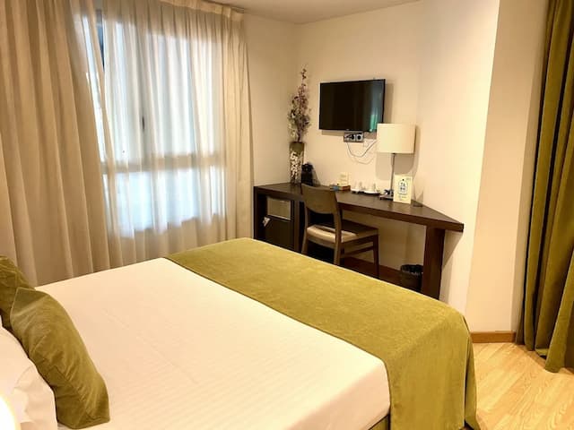 Hotel Concordia-华丽双人房-4