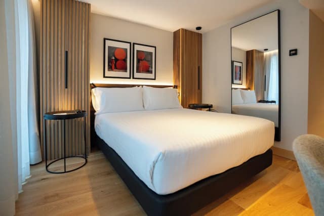 Hotel Zenit Conde De Borrell-标准双人房-4