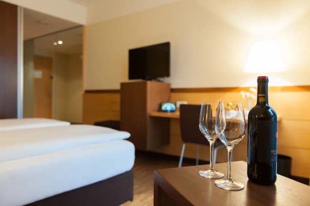 柏林centrovital飯店-高級客房-4