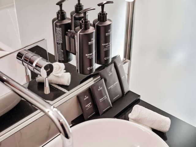 柏林麗笙精選酒店-套房 (Nikolai)-2