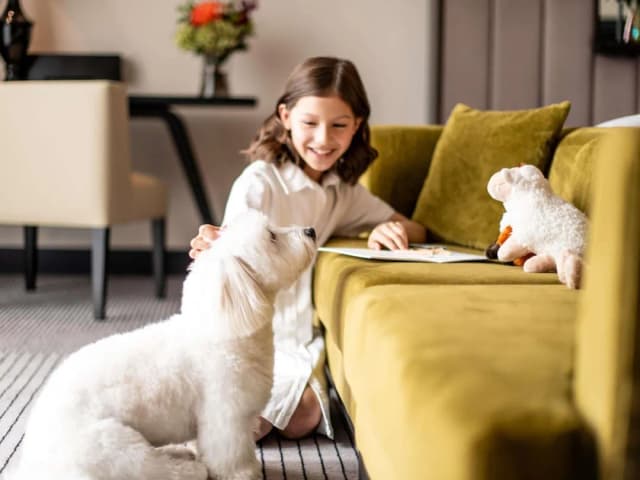 法蘭克福歌劇院索菲特飯店-奢華客房, 1 張特大雙人床-7