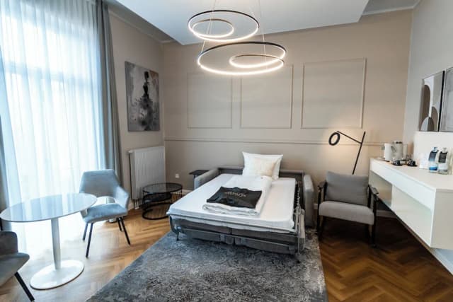 Hotel Kaiserhof Victoria-套房 (Garden Villa, Annex)-4