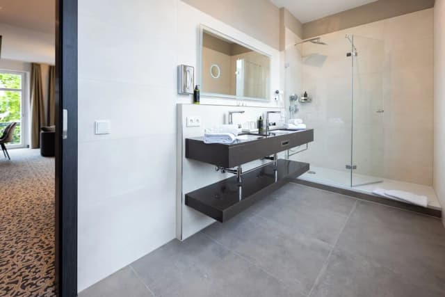 Hotel Kaiserhof Victoria-商务双人房, 1 张大床-6