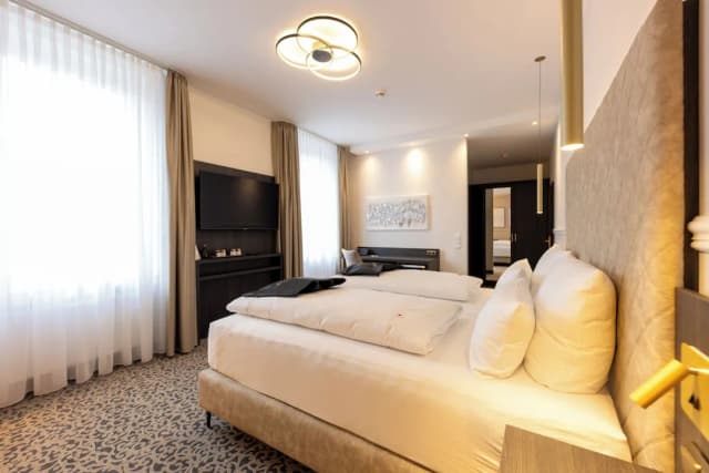 Hotel Kaiserhof Victoria-商务双人房, 1 张大床-4