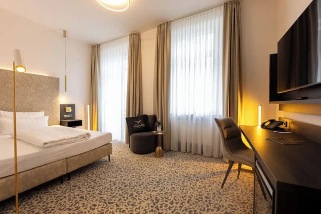 Hotel Kaiserhof Victoria-商务双人房, 1 张大床-5