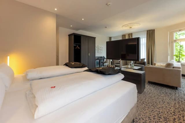 Hotel Kaiserhof Victoria-商务双人房, 1 张大床-3