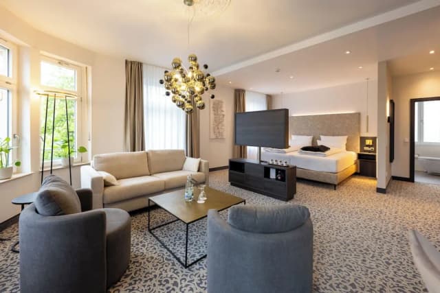 Hotel Kaiserhof Victoria-商务双人房, 1 张大床-1