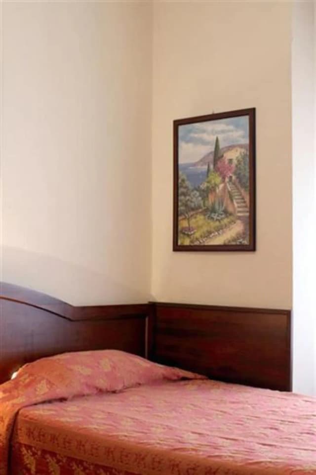 Hotel Pavone-基础单人房-2