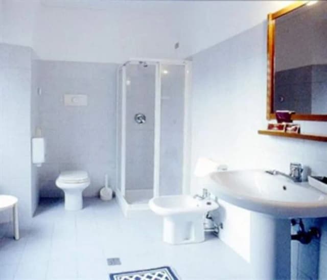 Hotel Pavone-基础双人房（单人入住）-3