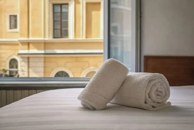 Hotel Pavone-基础双人房（单人入住）-6