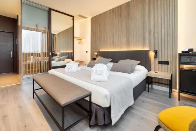 費拉國會亞歷山大飯店-高級客房-3