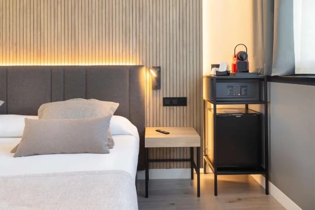 費拉國會亞歷山大飯店-高級客房-4