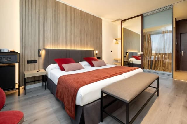 費拉國會亞歷山大飯店-標準雙人房單人入住-4