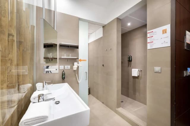 費拉國會亞歷山大飯店-標準雙人房單人入住-7