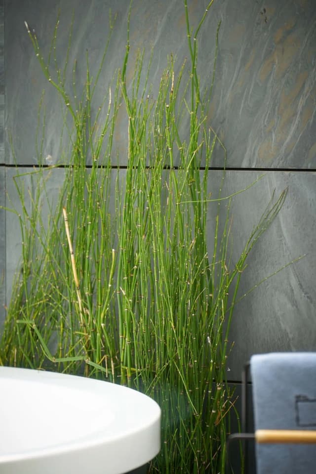 里賈納飯店-奢華頂樓客房, 熱水浴缸 (Terrace)-11