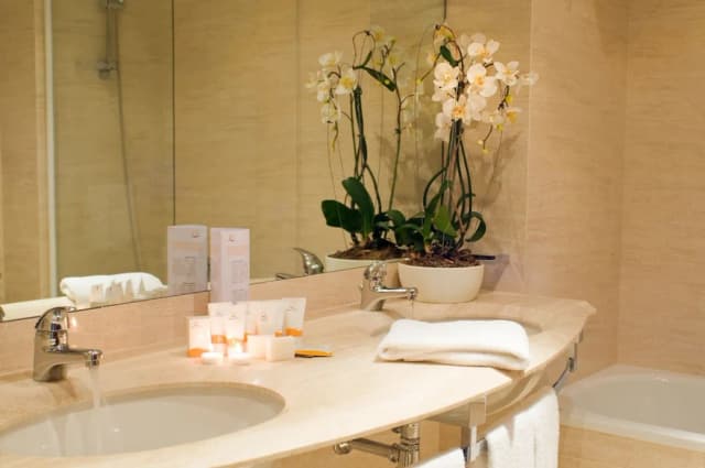 卡潘尼爾酒店-雙人房單人入住-2