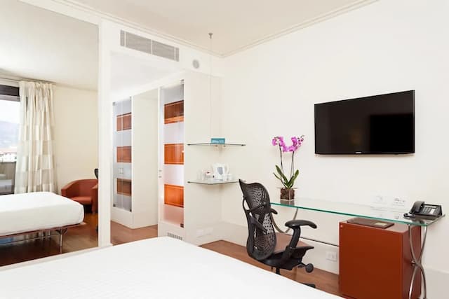 힐튼 가든 인 피렌체 노볼리-룸, 킹사이즈침대 1개-3